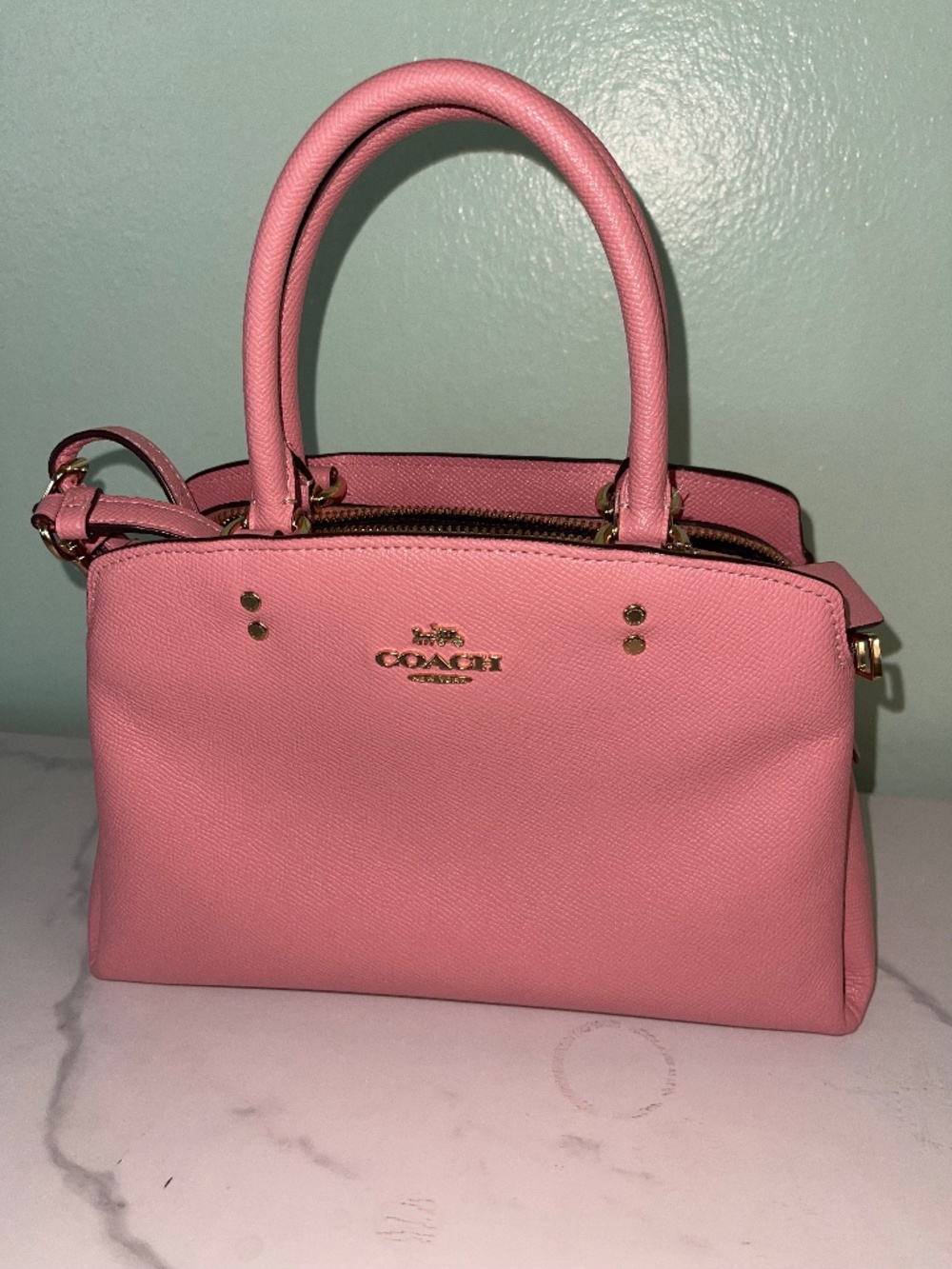 COACH Mini Lily Carryall Handbag